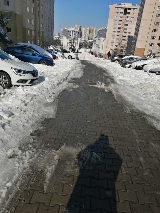 WhatsApp Image 2022-02-10 at 11.12.46