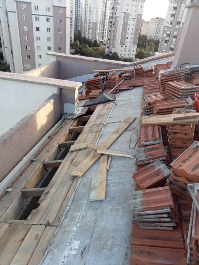 WhatsApp Image 2024-11-01 at 13.15.36