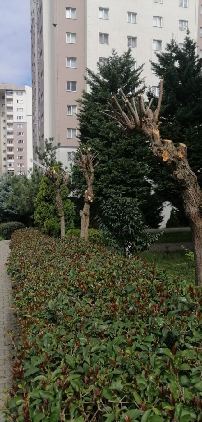 WhatsApp Image 2025-03-27 at 10.54.33