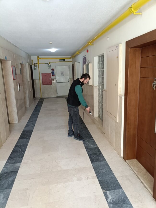 WhatsApp Image 2025-03-27 at 10.54.46